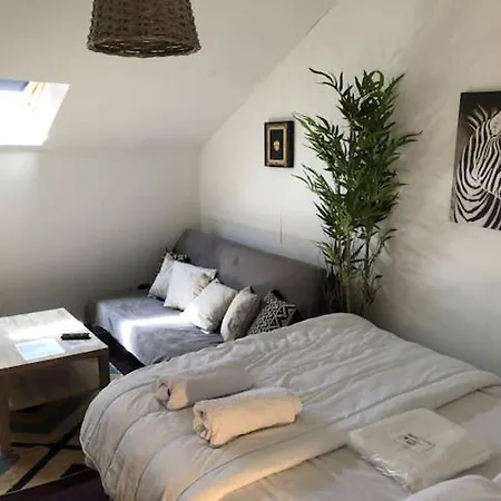 Le Victor Hugo 4 D Et Sa Pizza Offerte Apartment