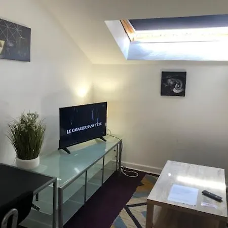 Apartment Le Victor Hugo 4 D Et Sa Pizza Offerte